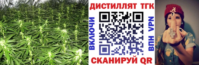 Дистиллят ТГК концентрат Элиста