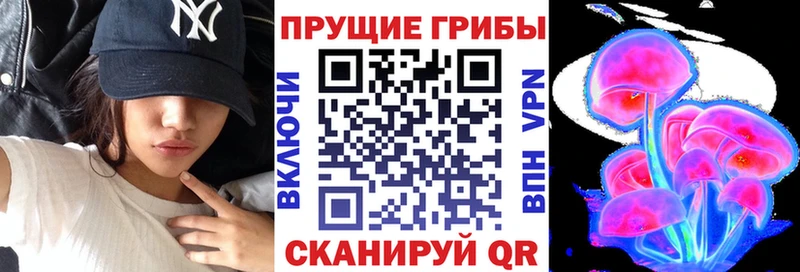 Псилоцибиновые грибы Psilocybe Элиста
