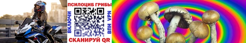 Псилоцибиновые грибы GOLDEN TEACHER  как найти закладки  Элиста 