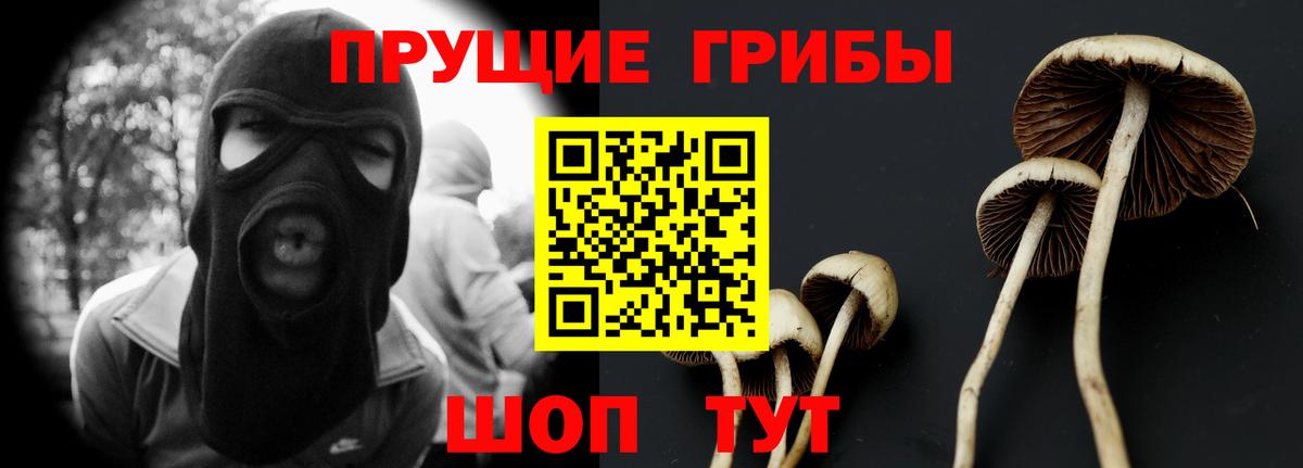 Галлюциногенные грибы MAGIC MUSHROOMS  Вход с VPN  Элиста  Галлюциногенные грибы Psilocybe 