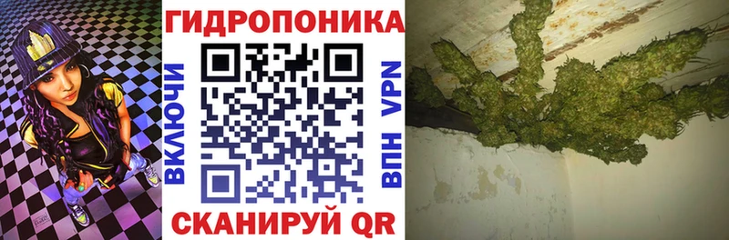 Конопля марихуана Элиста